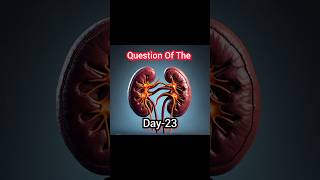 Question Of Day 23short kidney stomach yt [upl. by Attah]