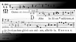 Solemn Latin Vespers for Gaudete Sunday [upl. by Ycart173]