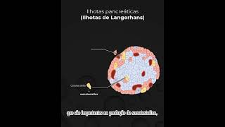 Hormônios Pancreáticos Somatostatina Insulina e Glucagon  Short [upl. by Anstus517]