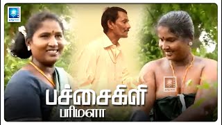 வான்னு சொன்னா வரப்போறேன் எதுக்கு இந்த பில்ட் அப்  Pachakili Parimala Tamil HD Movie [upl. by Eiramave173]