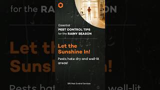 Pest Control Tips for Rainy Season  Day 10 pestcontrol rain pestmanagement sunlight [upl. by Assirrak]