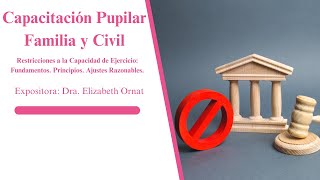 Capacitación Pupilar Familia Civil [upl. by Ecidna]