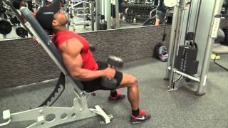 SEATED HAMMER CURL [upl. by Ludwigg]