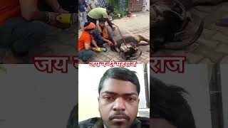 जीव जंतुओं की हर तरफ से मदद कीजिए सहायता कीजिए new short video viral bull [upl. by Mcquillin959]