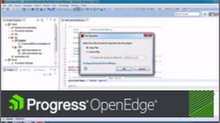 Getting Started with Progress Developer Studio for OpenEdge [upl. by Yruam]