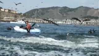 Humpback Whale VS 2 Women in kayaks [upl. by Curcio886]