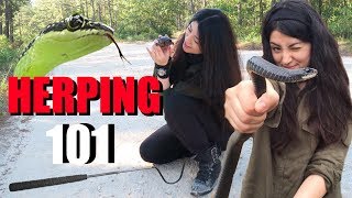 HOW TO FIND SNAKES  HERPING FOR BEGINNERS [upl. by Aseretairam676]