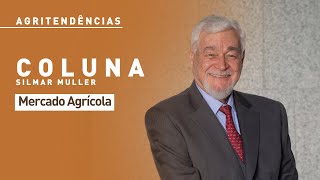 Agritendências Mercado Agrícola com Silmar César Muller [upl. by Chor]