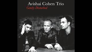 Avishai Cohen  Umray [upl. by Pompea]