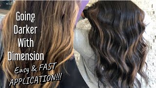 GOING DARKER  All Over Dark Color with DIMENSION  Easy amp FAST Application [upl. by Jahdai167]