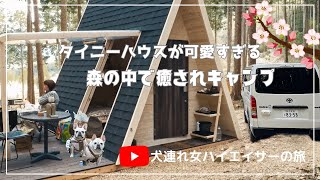 Ground Rock Castle でタイニーハウス泊 森の中で癒されキャンプ 犬連れハイエース旅 [upl. by Dnaltiac]