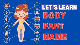 human body parts name hindi and englishparts of the body for kidskids education [upl. by Schlesinger57]