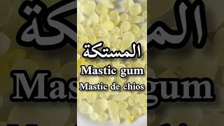 أهم الفوائد الصحية للمستكةMastic gum benefitsMastihaLes bienfaits du Mastic de Chiosshorts [upl. by Aja]