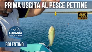 BOLENTINO  Prima uscita al Pesce Pettine  S2 E15 [upl. by Onaireves]