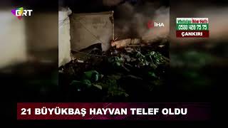 Çıkan yangında 21 büyükbaş hayvan telef oldu [upl. by Yasnil]