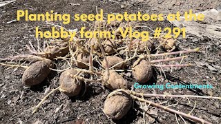 Planting seed potatoes at the hobby farm Vlog 291 [upl. by Lener349]