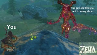 Highly Trained Swordsman vs 1 Watery Boi Breath of the Wild Part 5 [upl. by Atiras559]