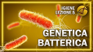 BATTERI  Parte 2 Genetica batterica  Igiene  Socio Sanitari  Lezione 5 [upl. by Dutch]