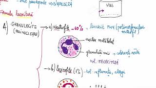 Barrons 145 Tipuri de globule albe [upl. by Llekcor610]