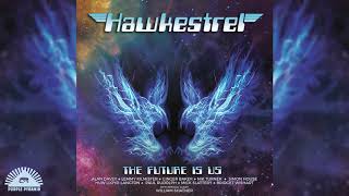 Hawkestrel  12 String Shuffle Official ArtTrack Video [upl. by Spence]