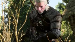 Witcher 3 Wild Hunt  How to defeat the Noonwraith [upl. by Dahcir]