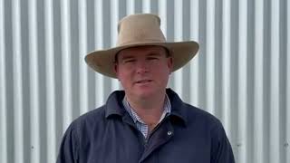 Inverell Cattle Market Report 9724 [upl. by Mallis]