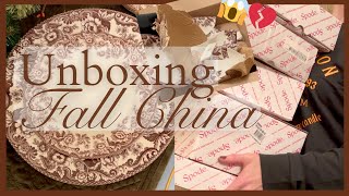 🍂 I BOUGHT NEW FALL DISHES 🍂 Unboxing DELAMERE SPODE CHINA  Fall 2024 [upl. by Hgielek]