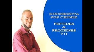 PEPTIDES amp PROTEINES V11 SEQUENCAGE DES PEPTIDES HYDROLYSE TOTALE DES LIAISONS PEPTIDIQUES [upl. by Reede]