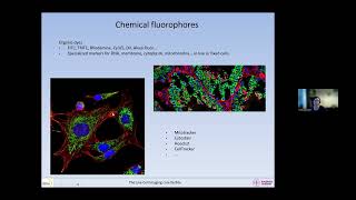 20240130 Fluorescence and fluorophores [upl. by Cut]