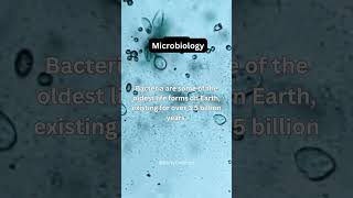 Science Fact  Microbiology  Science 18  shorts science facts microbiology viral [upl. by Rianna]