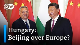 Why is Hungary taking sides with China rather than with the EU and NATO  DW News [upl. by Nisen234]