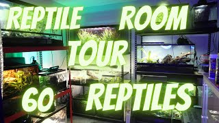 Reptile Room Tour 12222023 [upl. by Ahseihs833]