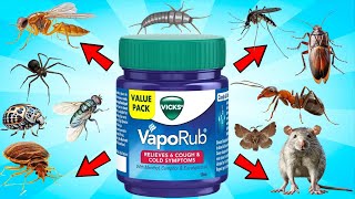 VICKS VAPORUB Hack For Pest Removal  MOSQUITO ANTS FLIES SPIDERS RODENTS COCKROACHES GNATS [upl. by Enilrae259]