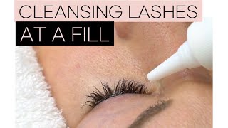 LASH TECH TIPS  How to Cleanse Your Clients Lashes Before a Fill  LOST ARTISTRY LASH [upl. by Penney]