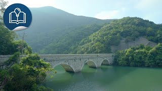 Hong Kongs Greenery amp Biodiversity EP01 Day and Night of Tai Tam Country Park Promo [upl. by Ellemrac535]