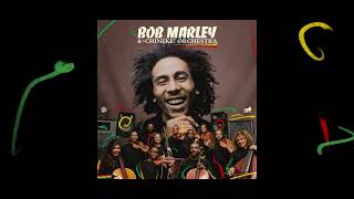 Redemption Song – Bob Marley and The Chineke Orchestra Visualizer [upl. by Eeimaj906]