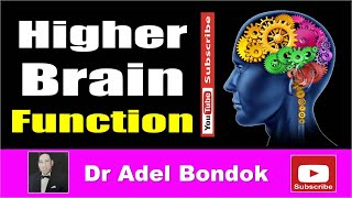 Higher Brain Function Dr Adel Bondok Making Anatomy Easy [upl. by Raycher]