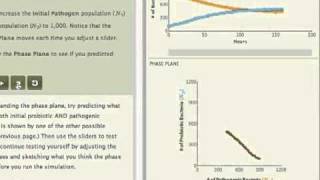 Competition Chapter in SimUText Ecology [upl. by Ameerak]