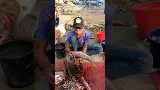 amazing Rui fish cutting skills fish speedcutting fishcuttingskill [upl. by Notsa496]