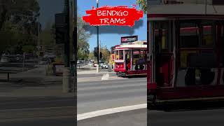 Bendigo 🚃 Trams Bendigo Victoria Australia 🇦🇺 exploreaustralia australiancity australiatrams [upl. by Maximo295]