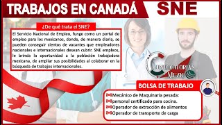 Trabajos en Canadá Servicio Nacional de Empleo 20222023 BOLSA de trabajo LABORAL Vacates de EMPLEO [upl. by Ring723]