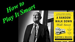 How to Reap Big Returns Safely A Random Walk Down Wall Street Audiobook Ch 9 Sum Burton Malkiel [upl. by Vudimir934]