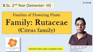 Family Rutaceae  citrus family  Botany simplified [upl. by Ahslek]