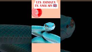 Les animaux en Anglais english anglais shorts quiz [upl. by Harbed27]