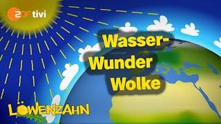 Wie entstehen Wolken  Löwenzahn  ZDFtivi [upl. by Ahsemrac841]