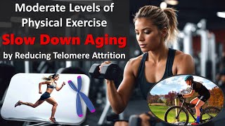 Different Types of Regular Physical Activity SLOW DOWN AGING by Reducing Telomere Attrition [upl. by Gaulin]