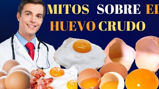 Huevos Beneficios ¿Se Pueden Comer Crudos [upl. by Braeunig653]