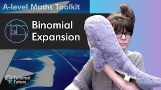 Binomial Expansion Made Easy  The Maths Toolkit [upl. by Ecirtaed]