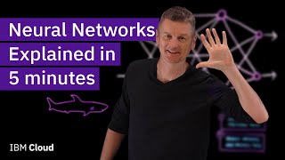 Neural Networks Explained in 5 minutes [upl. by Giorgio508]