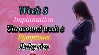 week 3 pregnancy 2024  early pregnancy symptoms  implantation  week 3 ultrasound baby size [upl. by Adihsar]